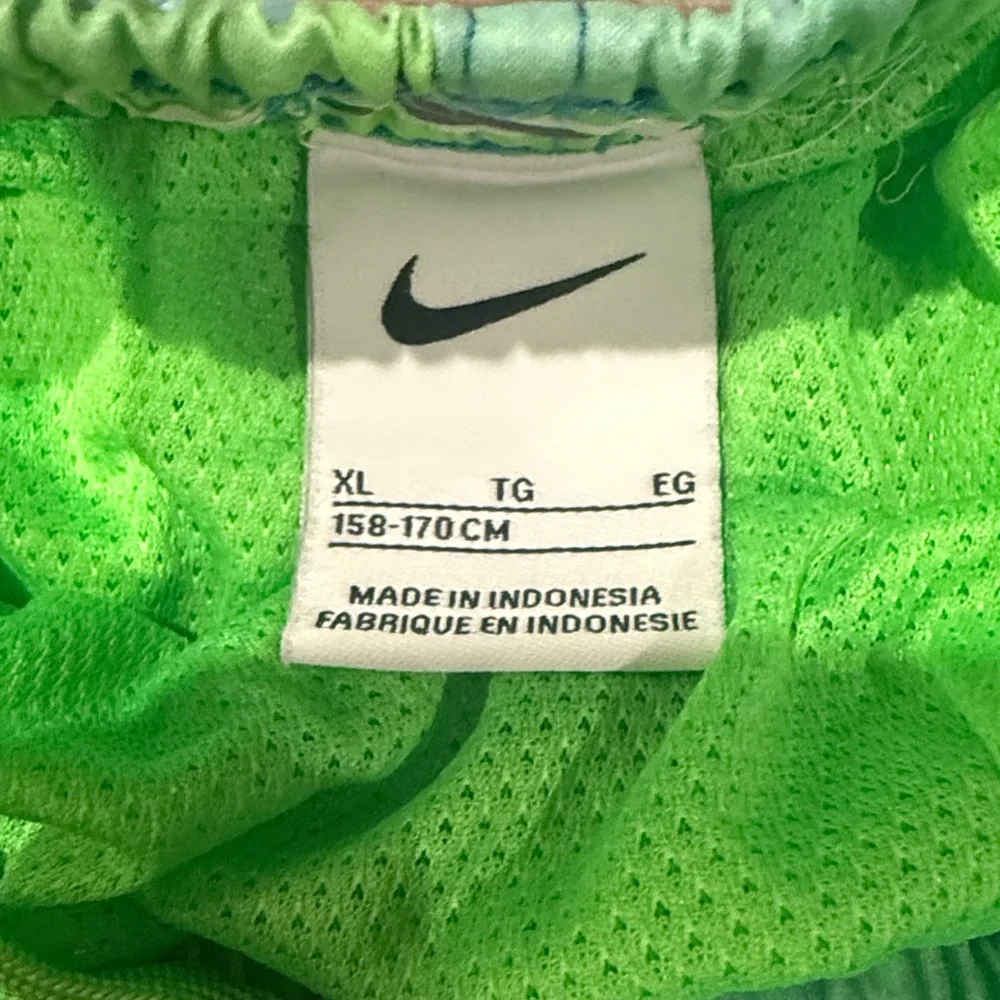 Nike Kids Blue and Green Swim Trunks Size XL